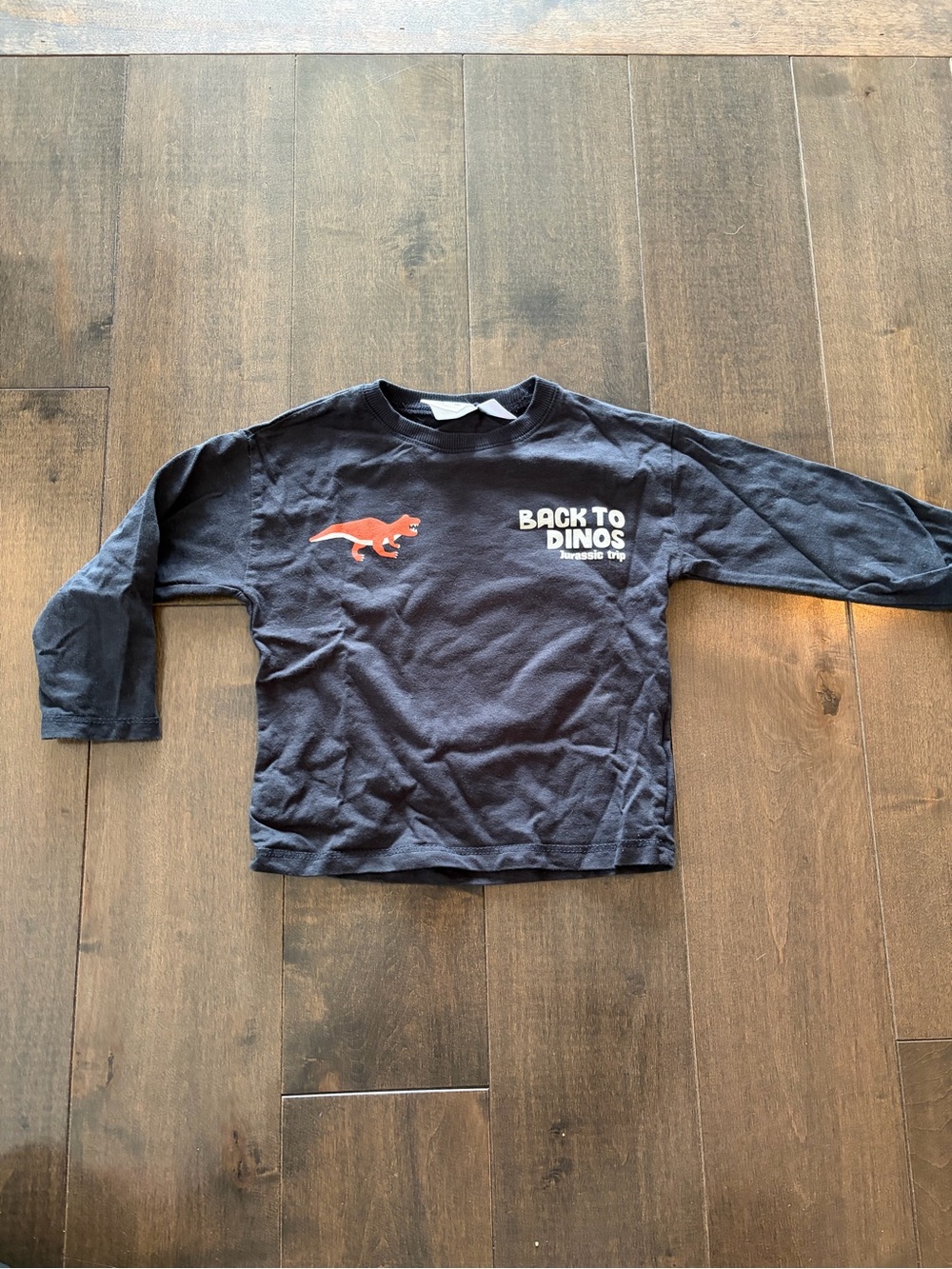 Zara Back to Dinos black Long-Sleeve Kids Tee